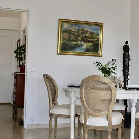 Appartement Pieds Dans L'eau: 2 Pieces, Grande Terrasse, Climatisation, - Fr-1-252a-127 Villeneuve-Loubet